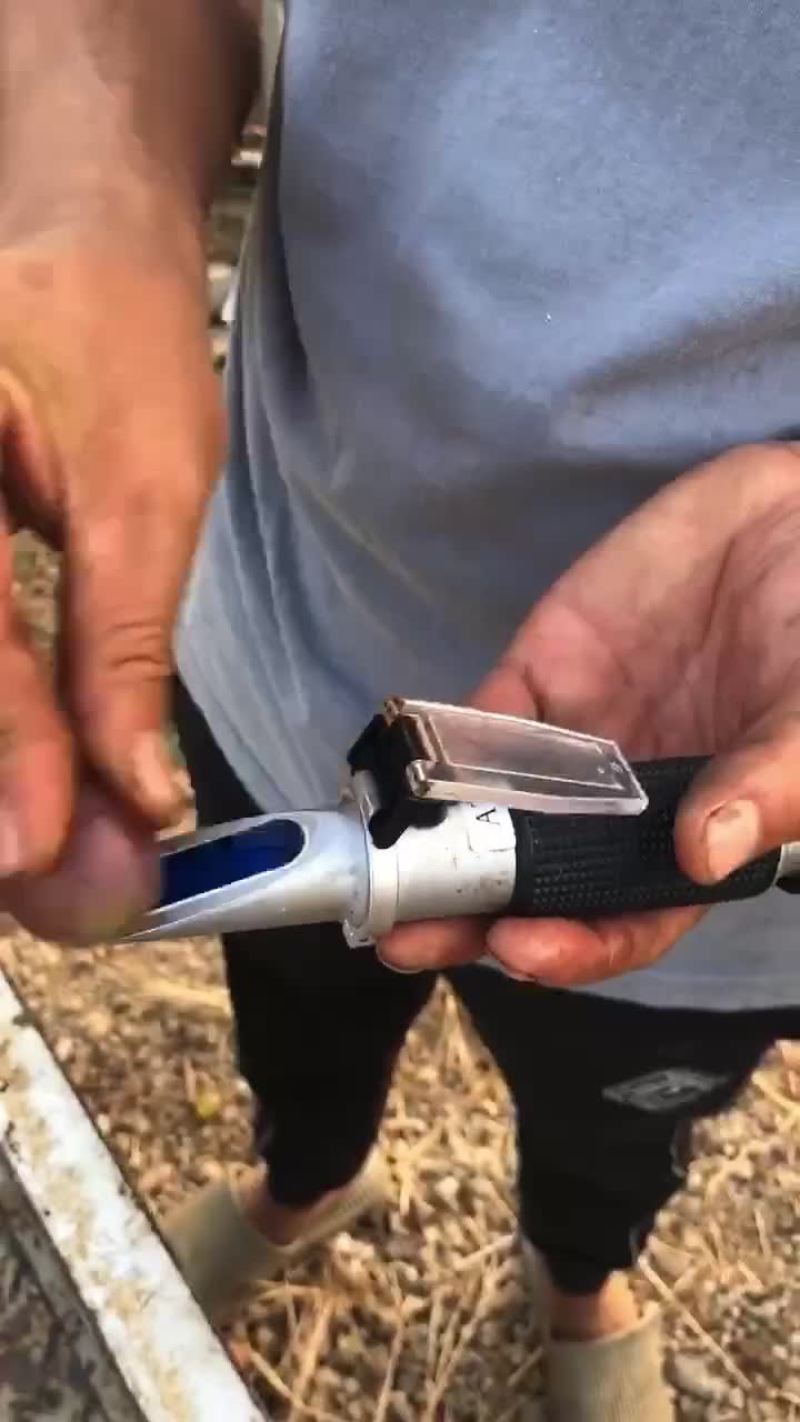 巨峰上市果甜粒大好货多多需要的联系