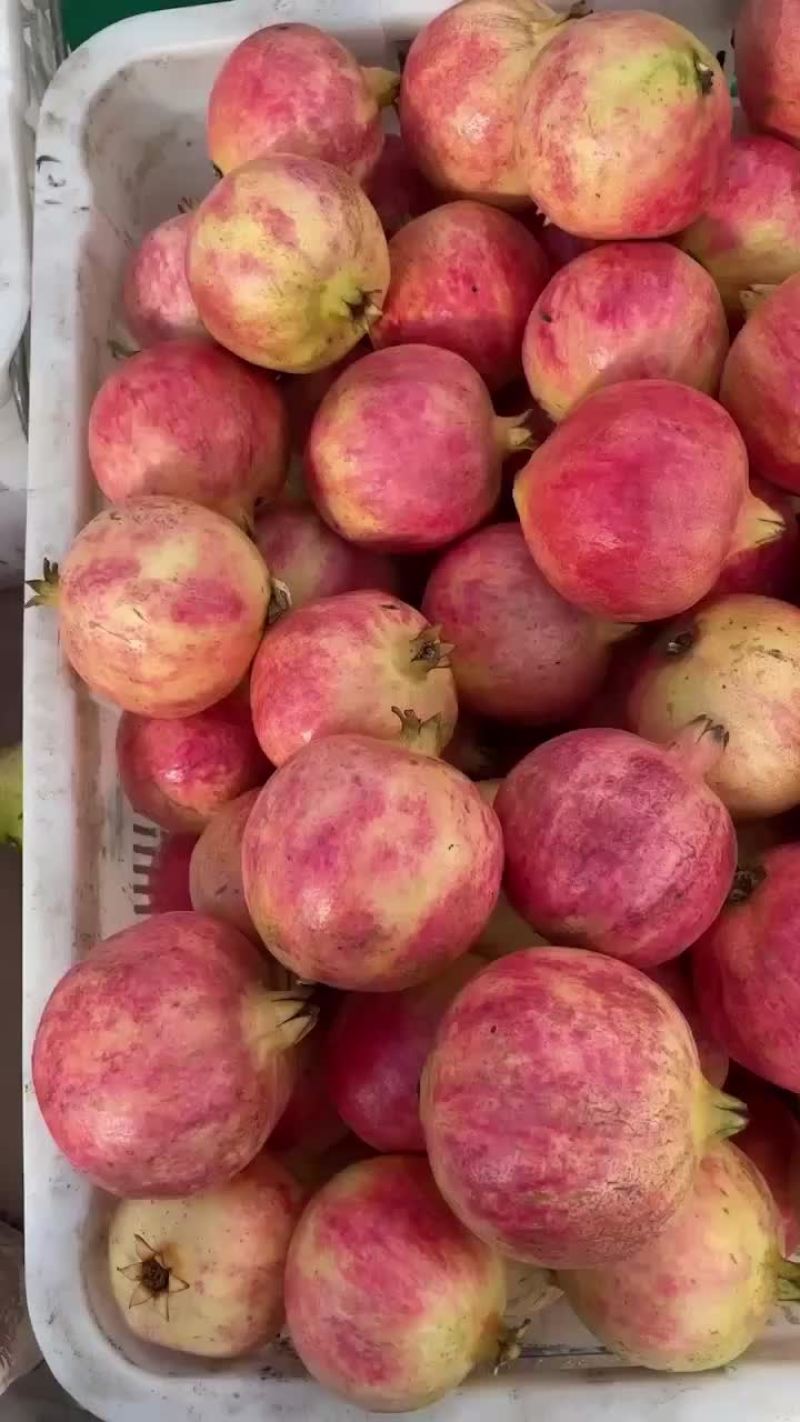 突尼斯软籽石榴