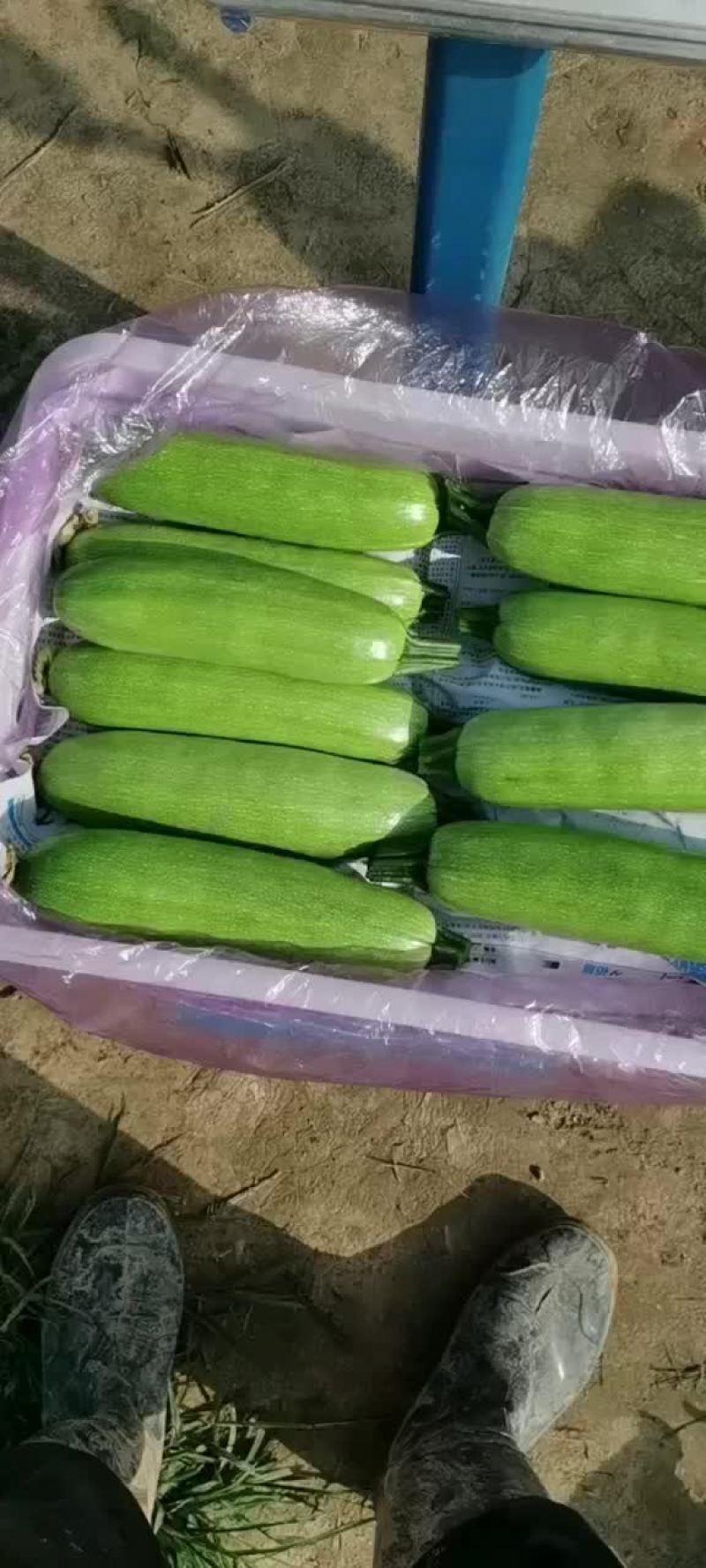 蔬菜