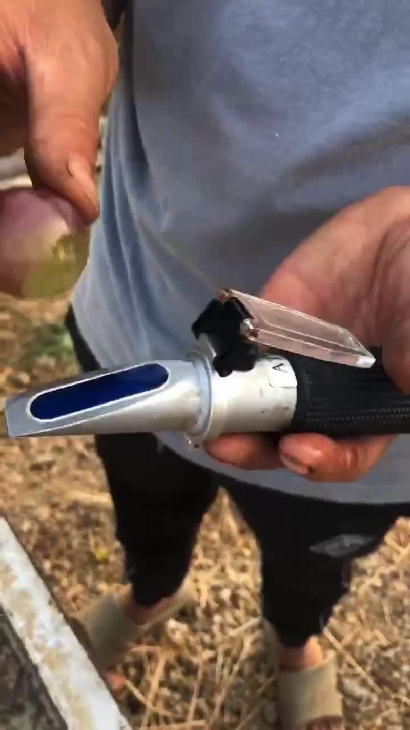 巨峰开剪了粒大果甜需要的可以联系