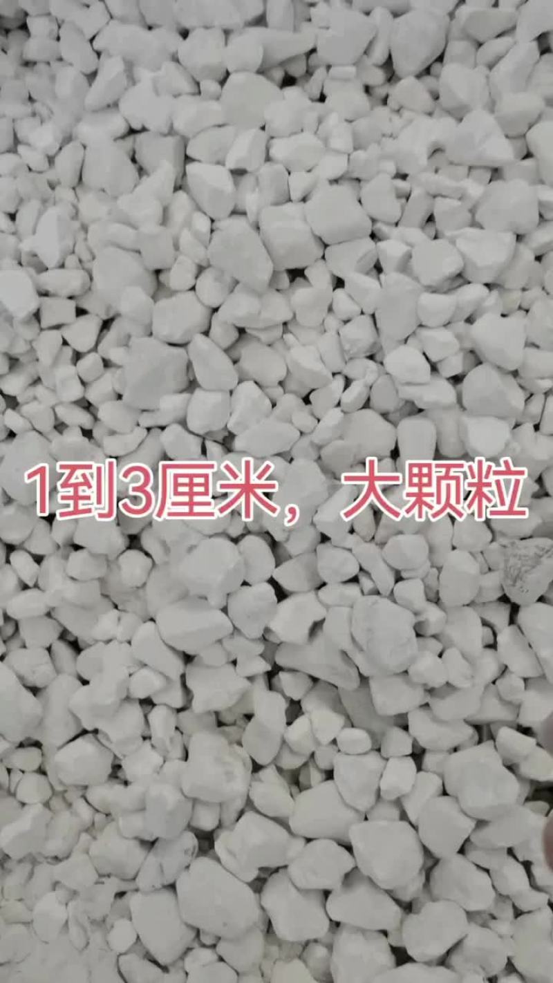 消毒用生石灰颗粒