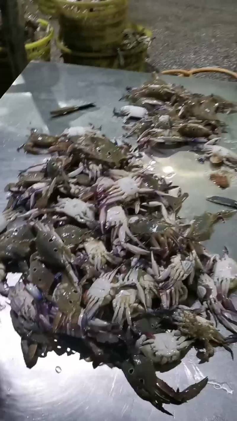 三点蟹一手货源