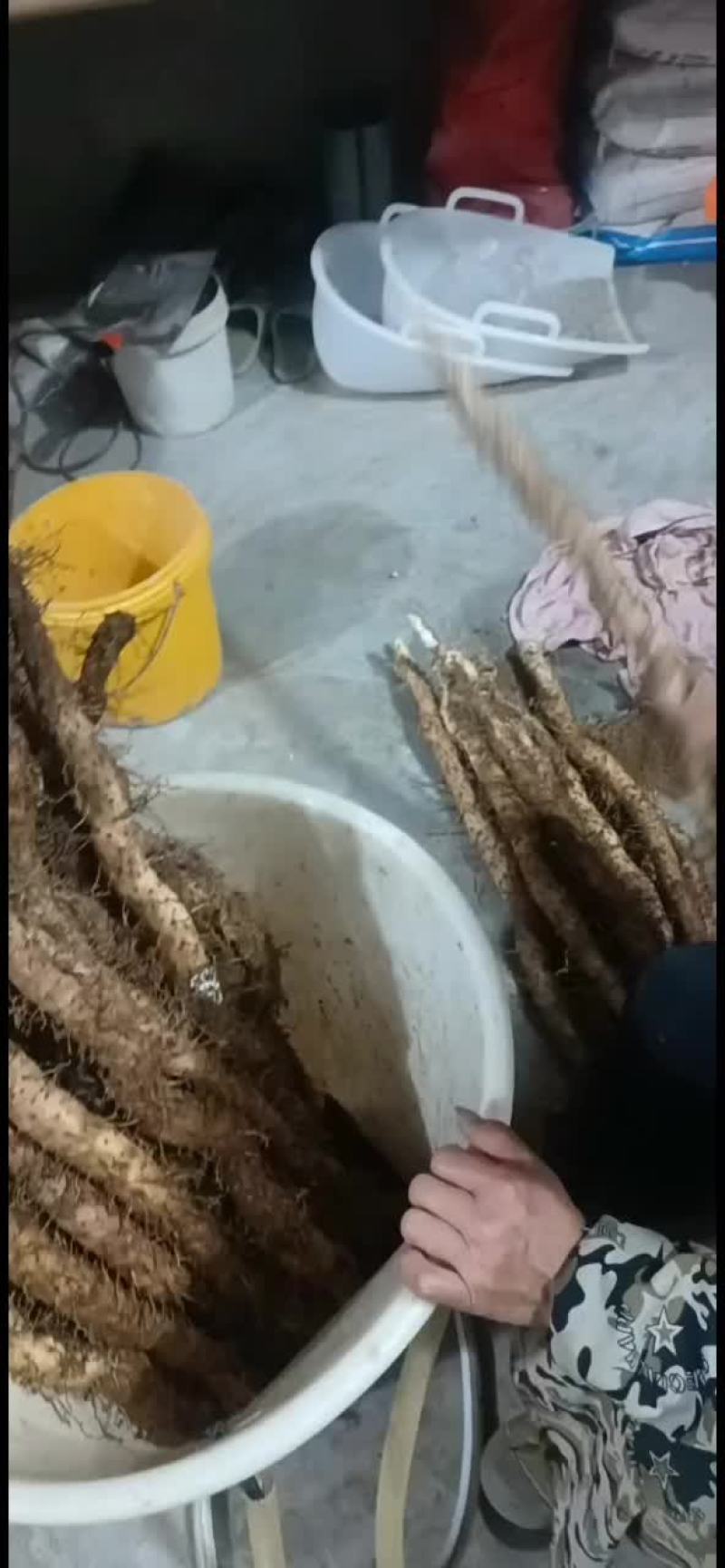 山药