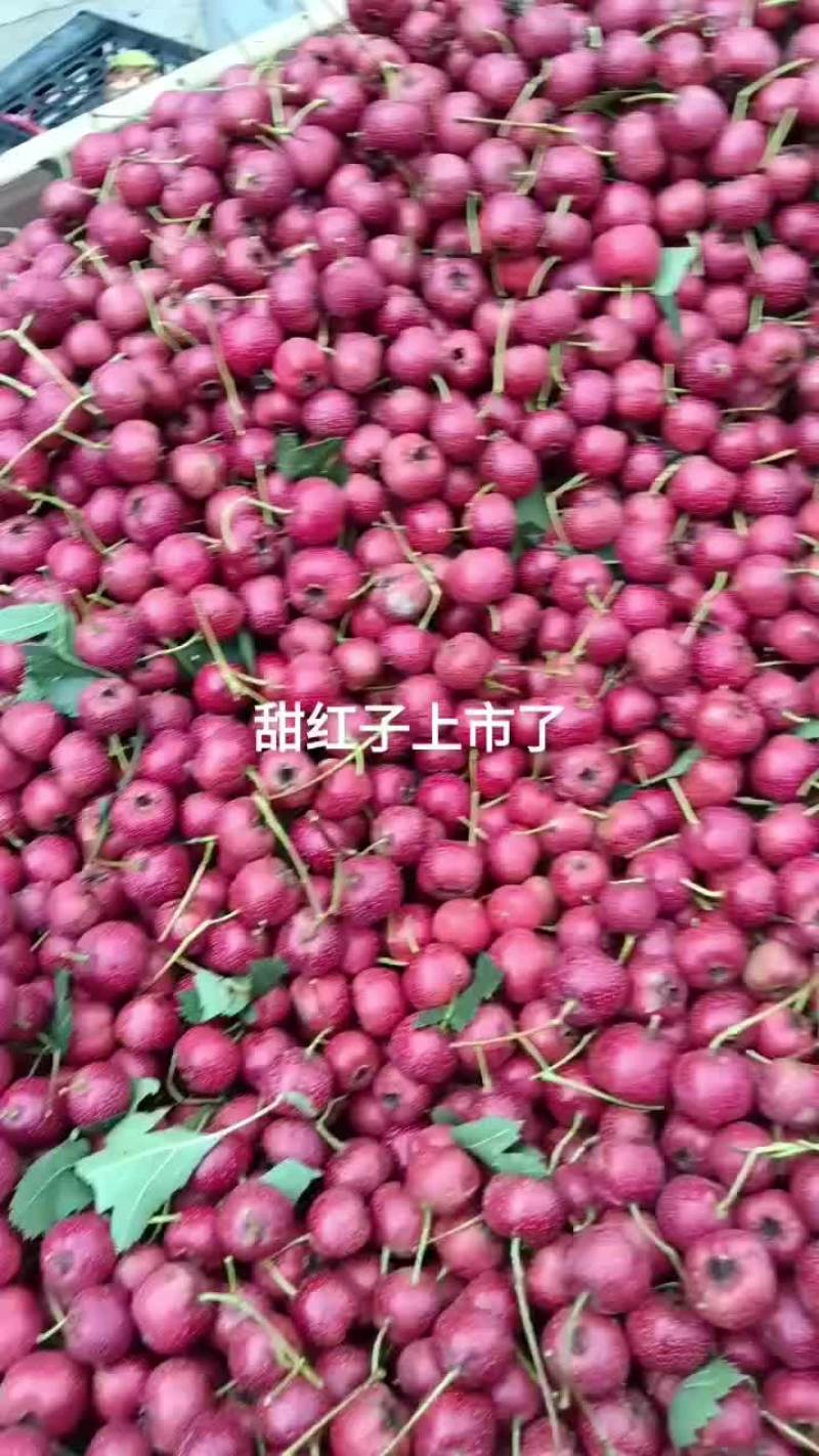沂蒙特产，山楂，大面球，大金星，甜红子，大五梭。