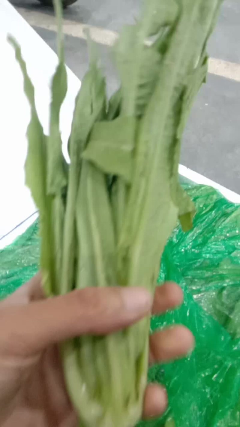 精品油麦