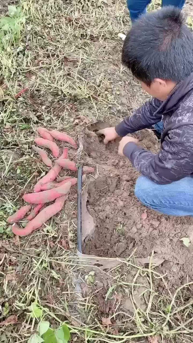 西瓜红