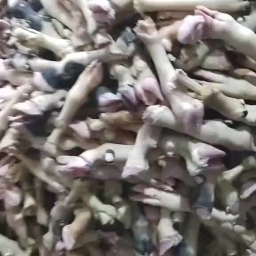 羊净蹄