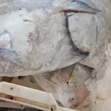 北部湾大英仓