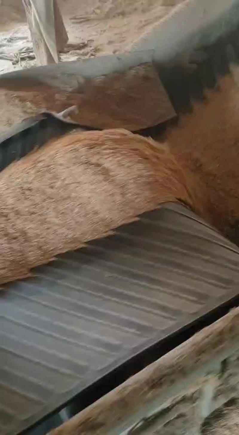 稻壳