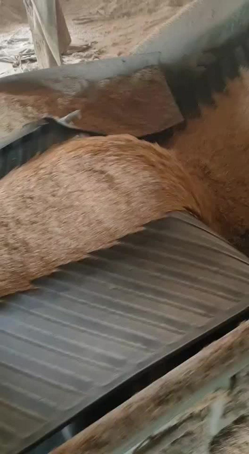 稻壳
