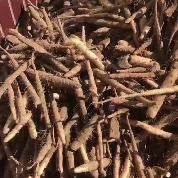 小白嘴下脚料一手货源