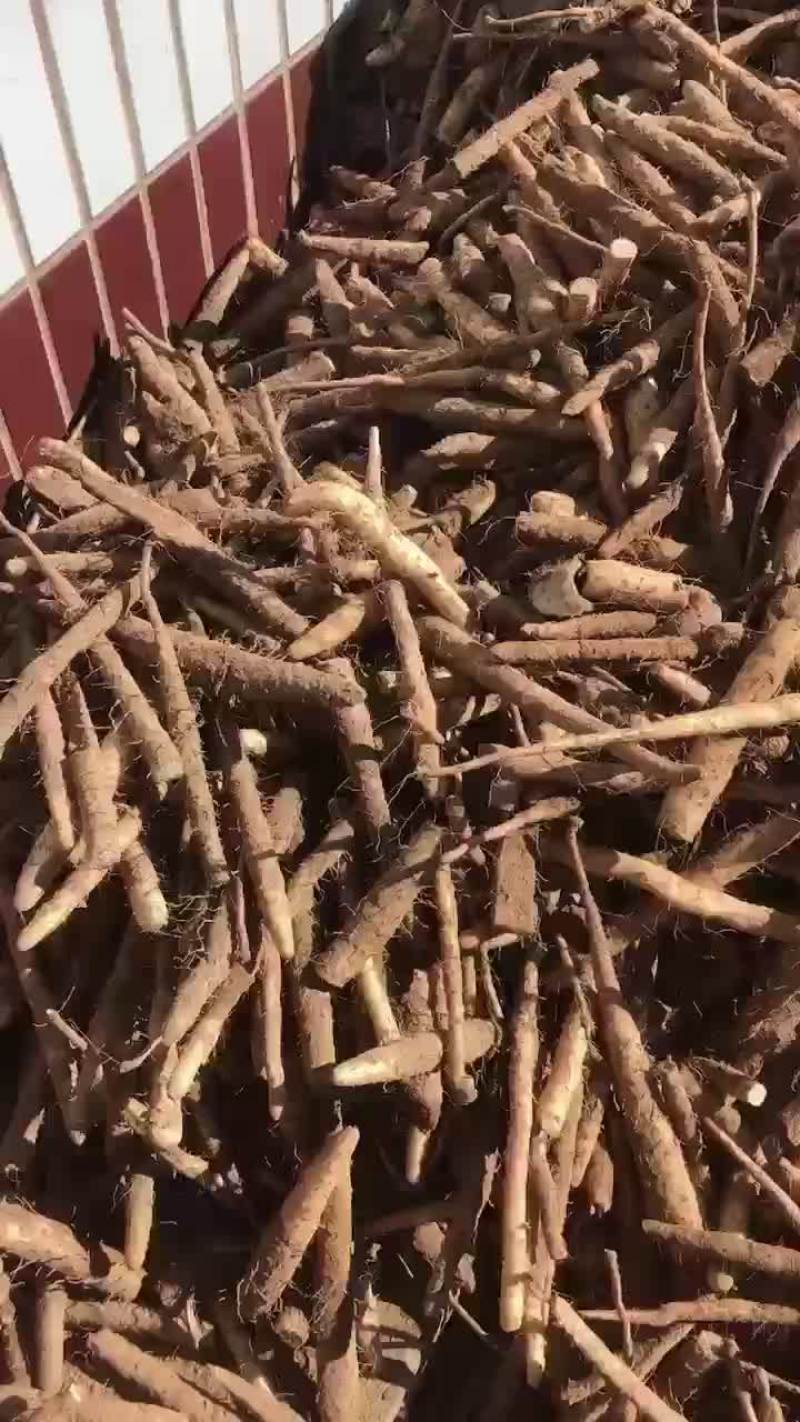 小白嘴下脚料一手货源
