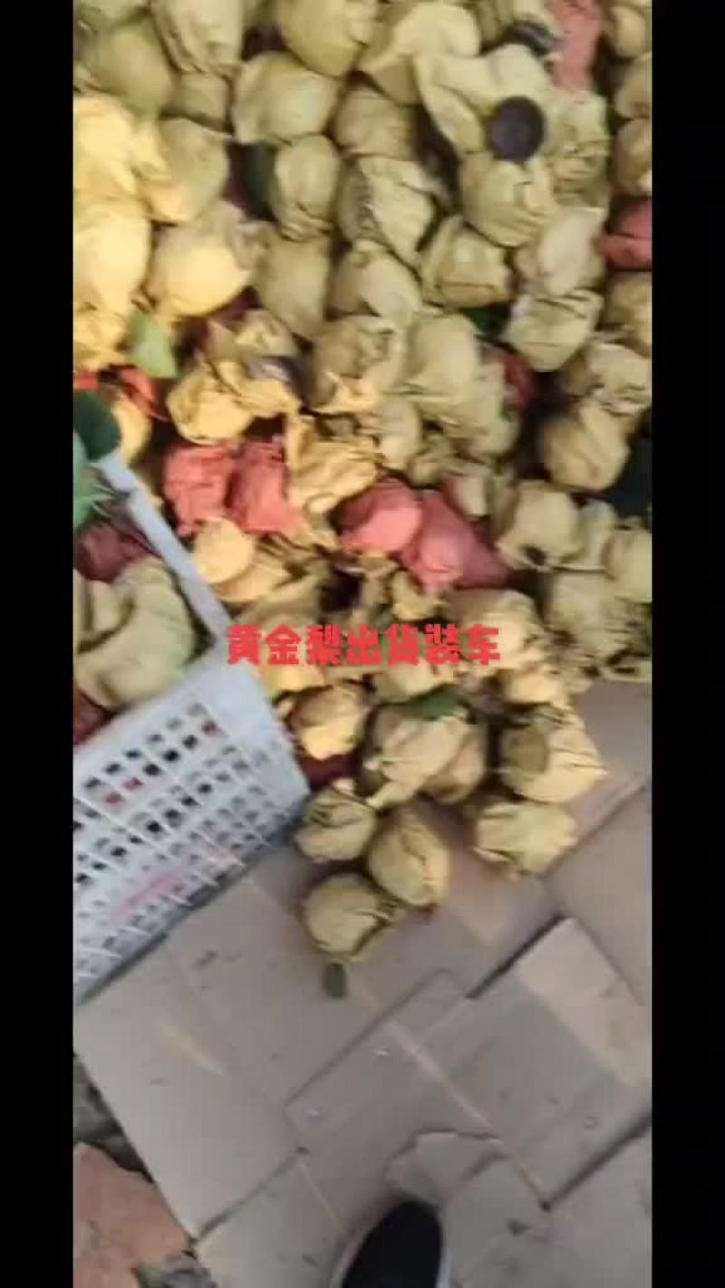 有机黄金梨