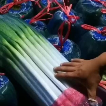 铁杆大葱