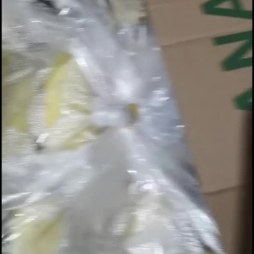 广西精品香蕉