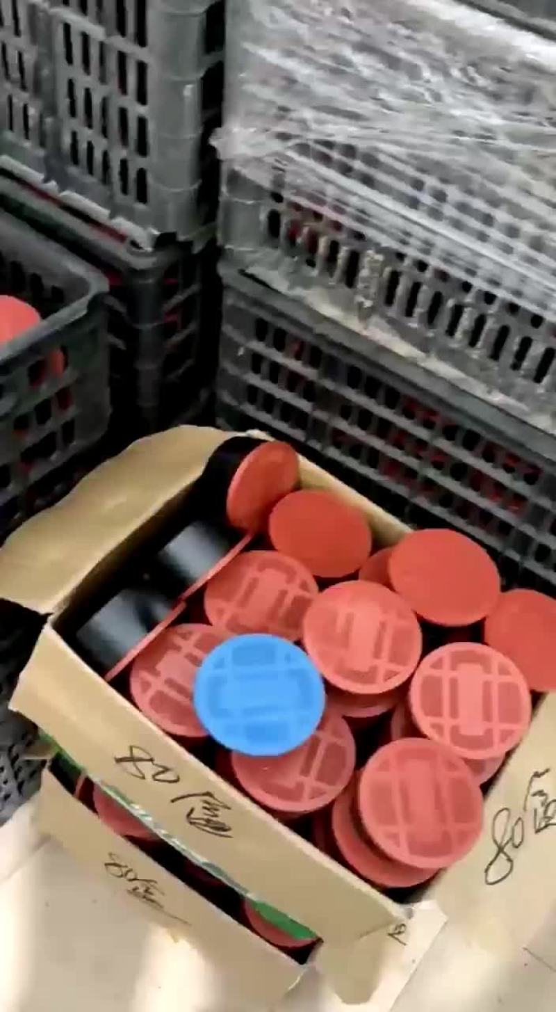 钓鱼蚯蚓