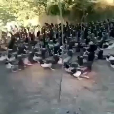 场地一手货源麻鸭青头
