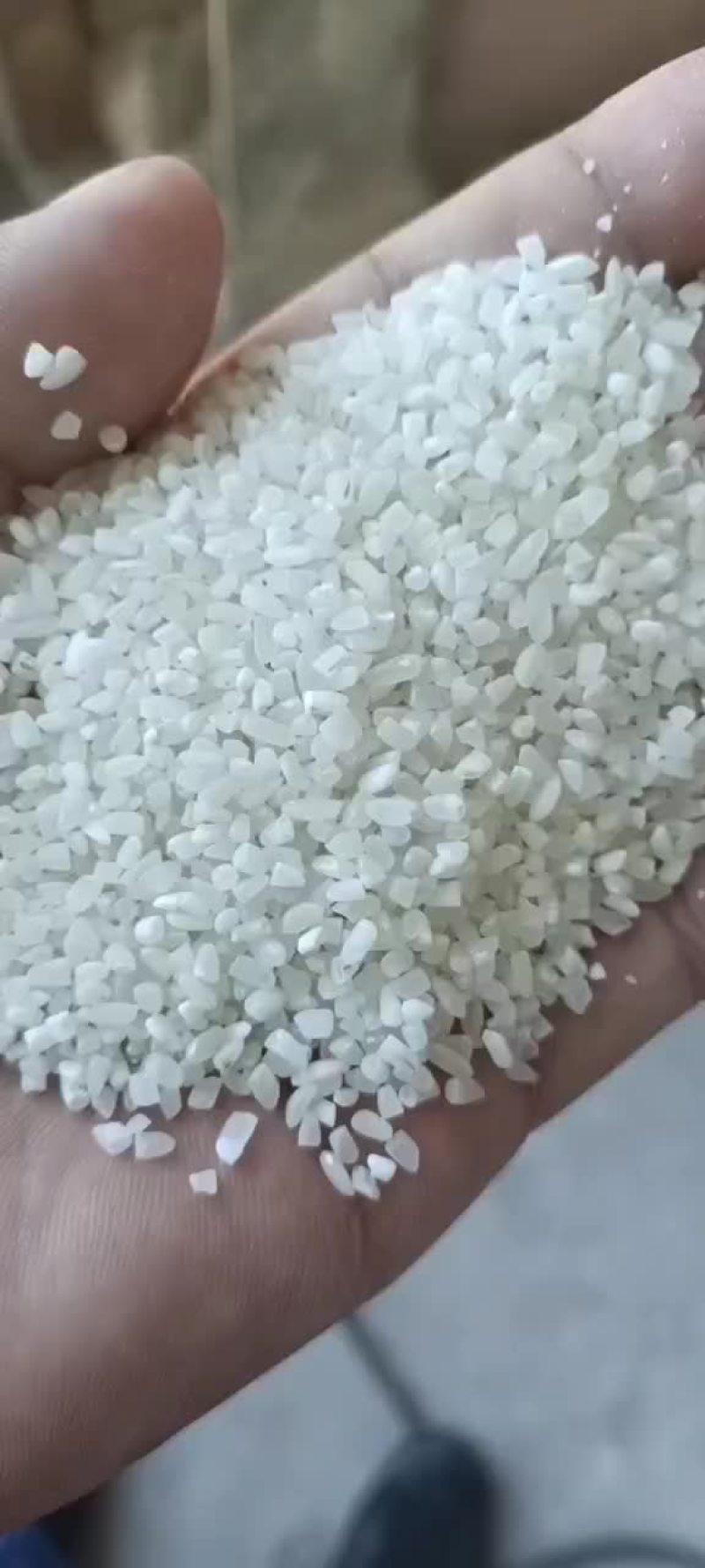碎米，陈粮珍珠米
