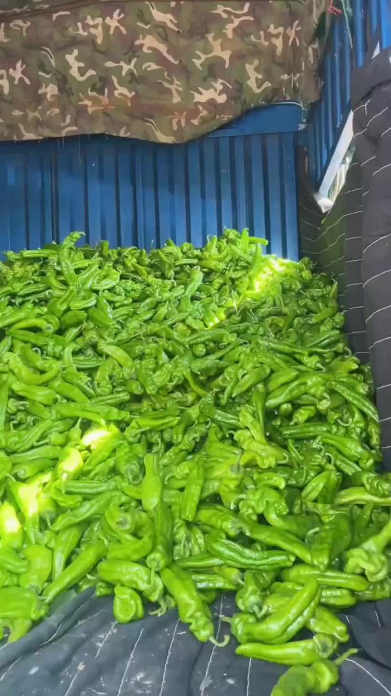 辣椒