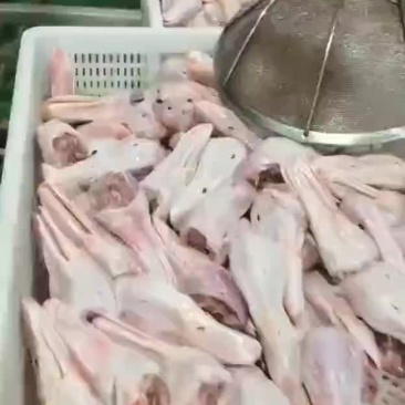 出售鸭头