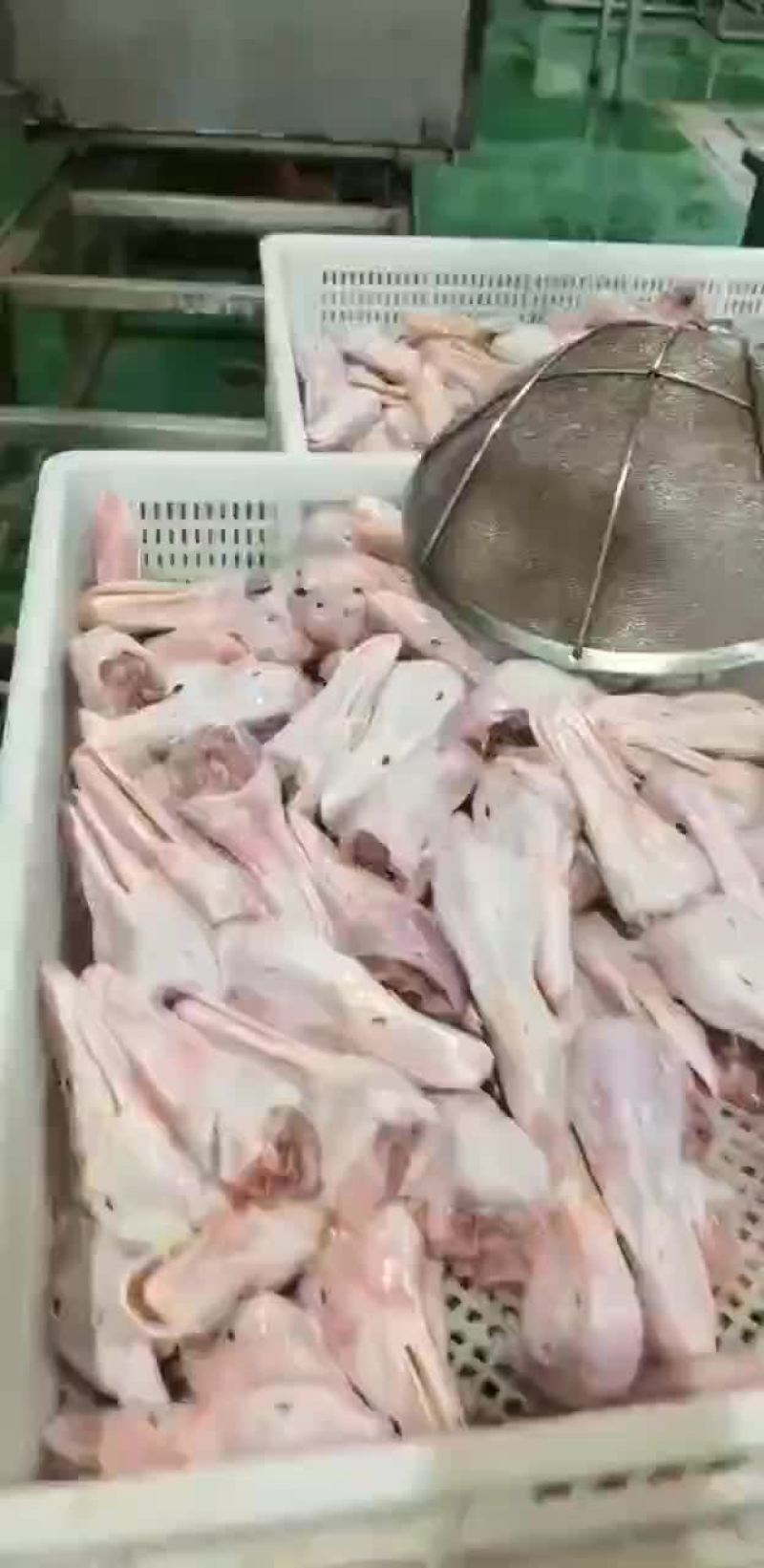 出售鸭头