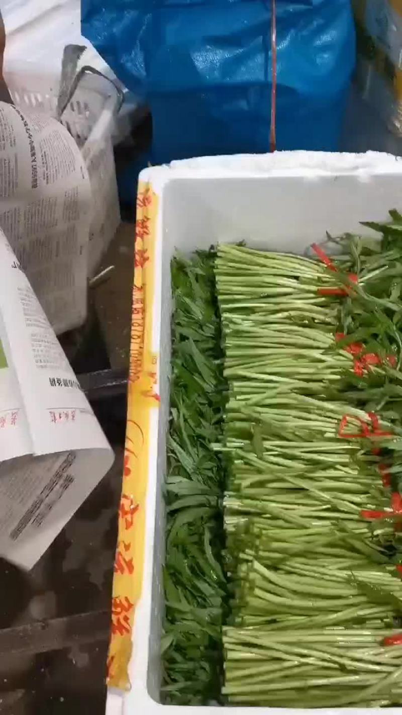 精不精品