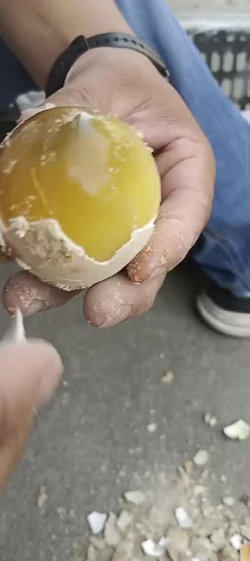 用鹅蛋做成的鹅变蛋