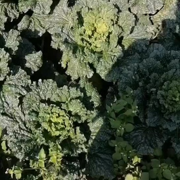 有需要的请打电话联系我。