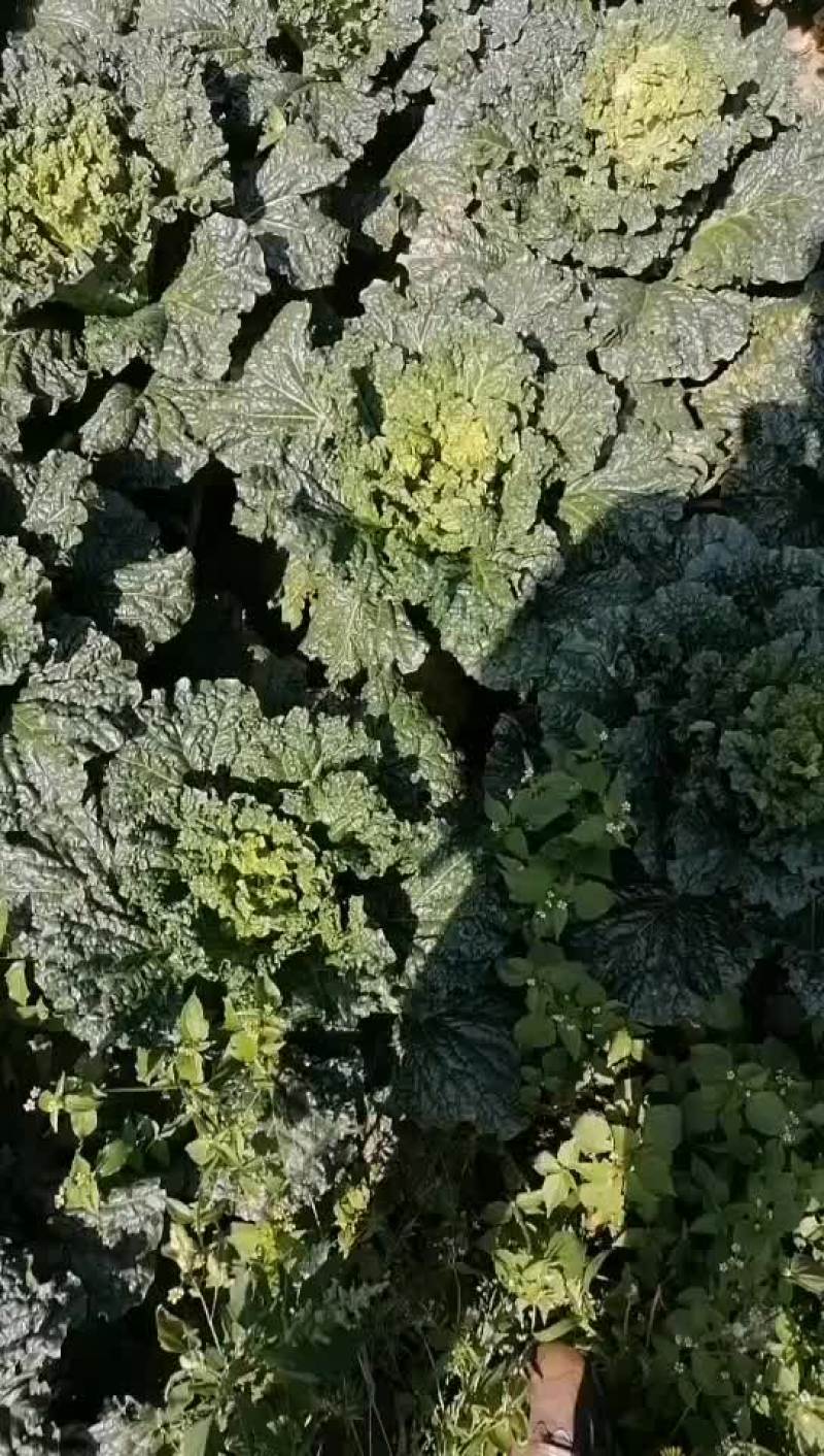 有需要的请打电话联系我。