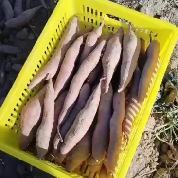通货大量有货要的老板联系