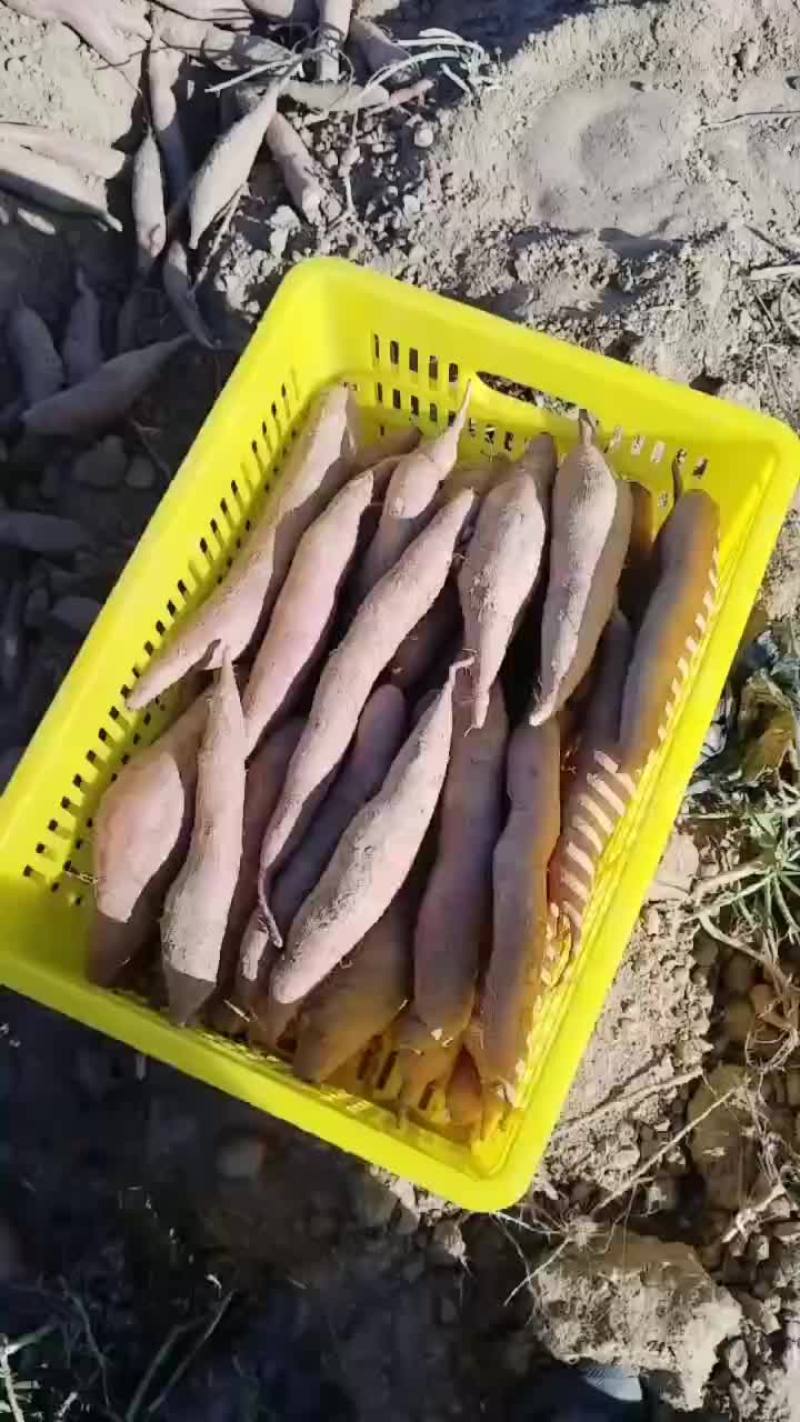 通货大量有货要的老板联系