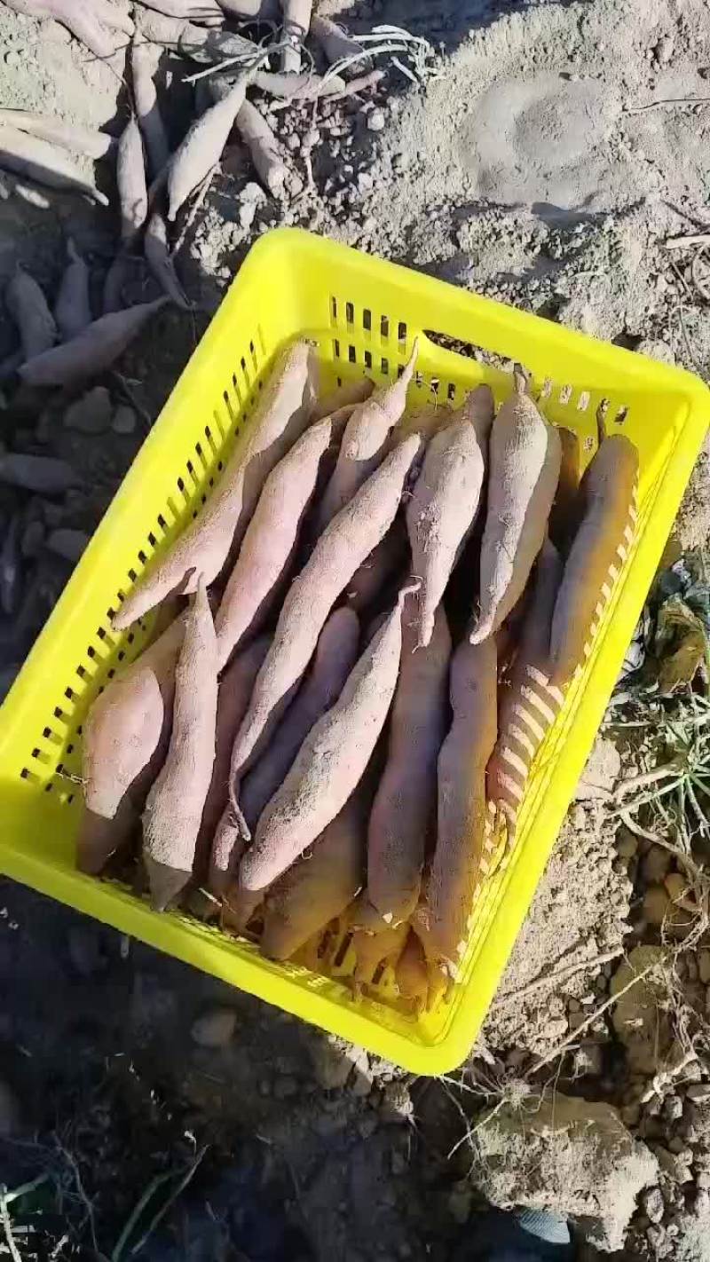 通货大量有货要的老板联系