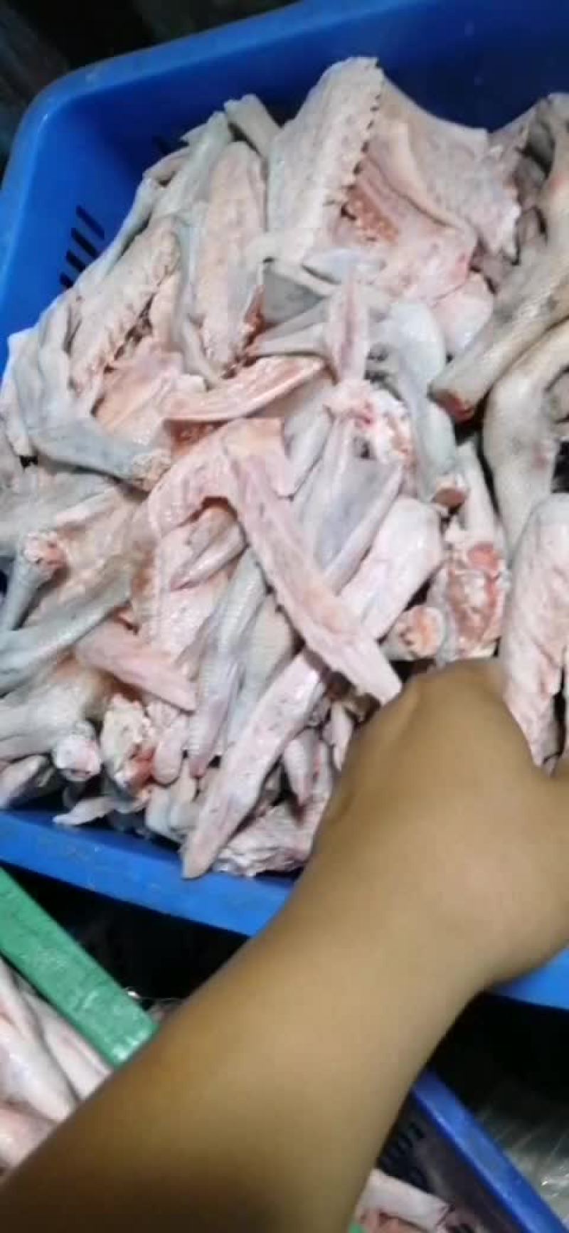 新鲜老身鹅掌亦