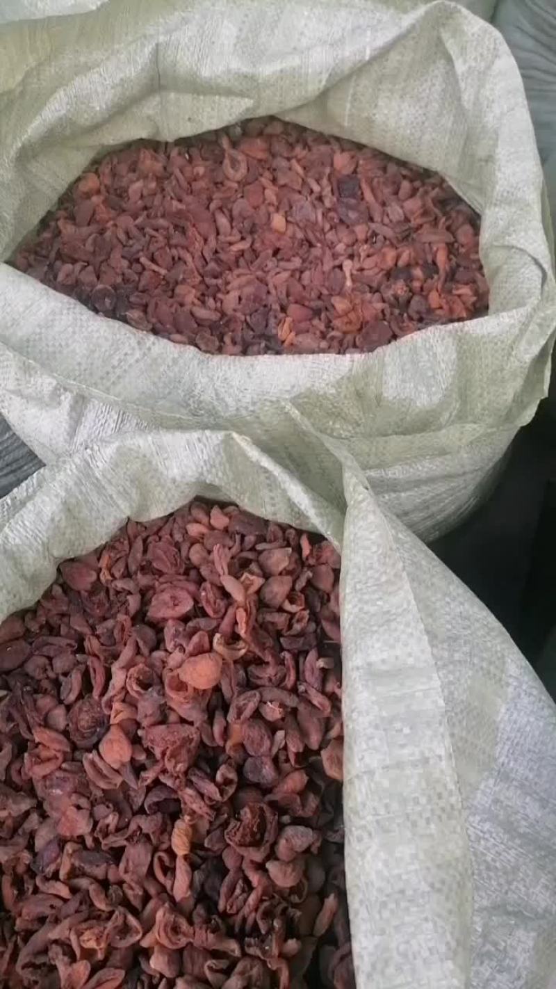 甘肃省庆阳市土特产精品杏干，现货待售20吨，色泽黄亮，果