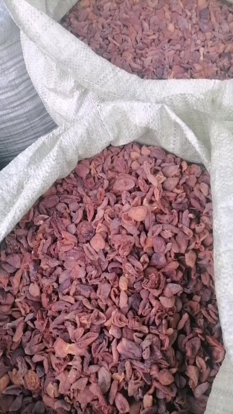 甘肃省庆阳市土特产精品杏干，现货待售20吨，色泽黄亮，果