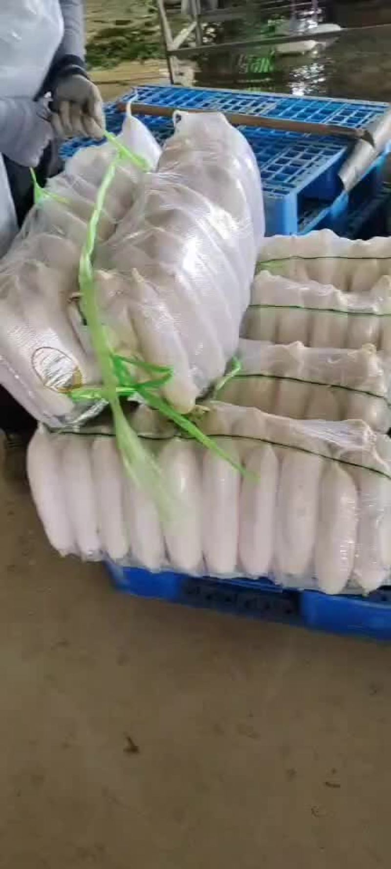 三排四五排有货，需要的老板联系