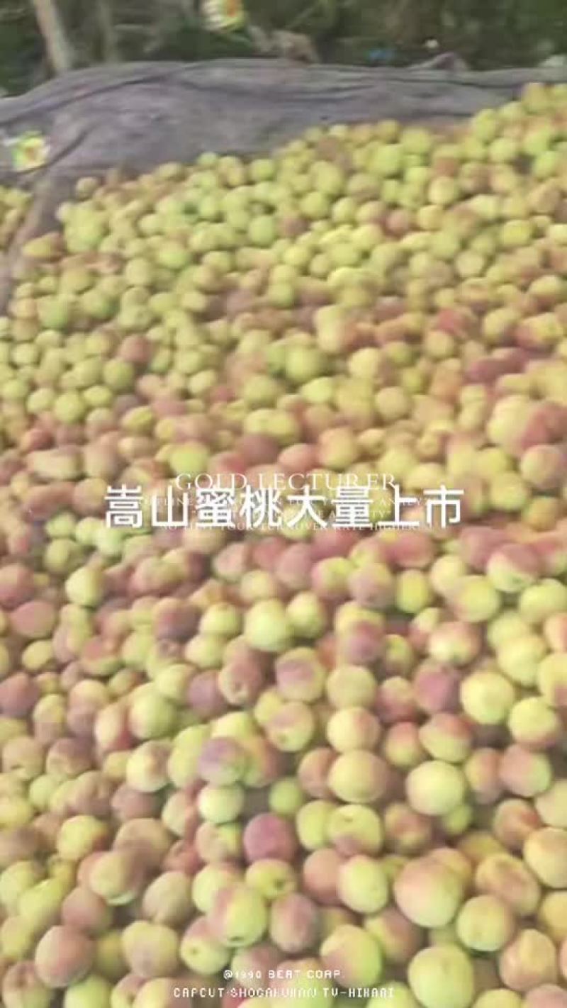 蜜桃