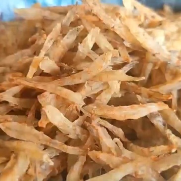 虾仁虾条已经晒干，已挑沙线