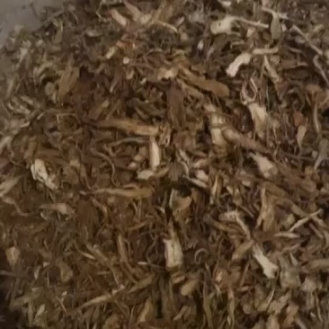 当归全归片统货
