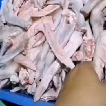 新鲜鹅掌亦