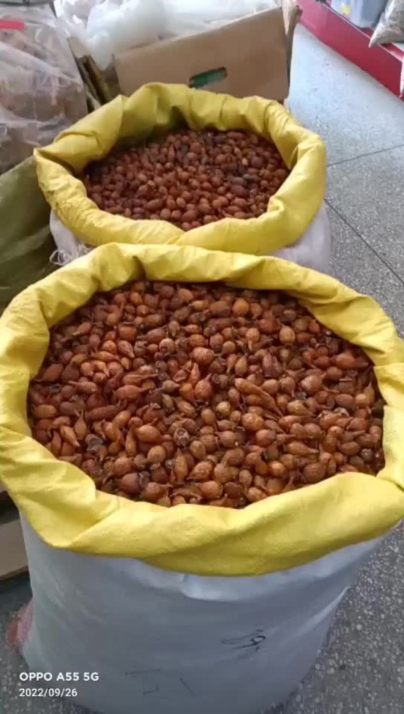 金樱子新货