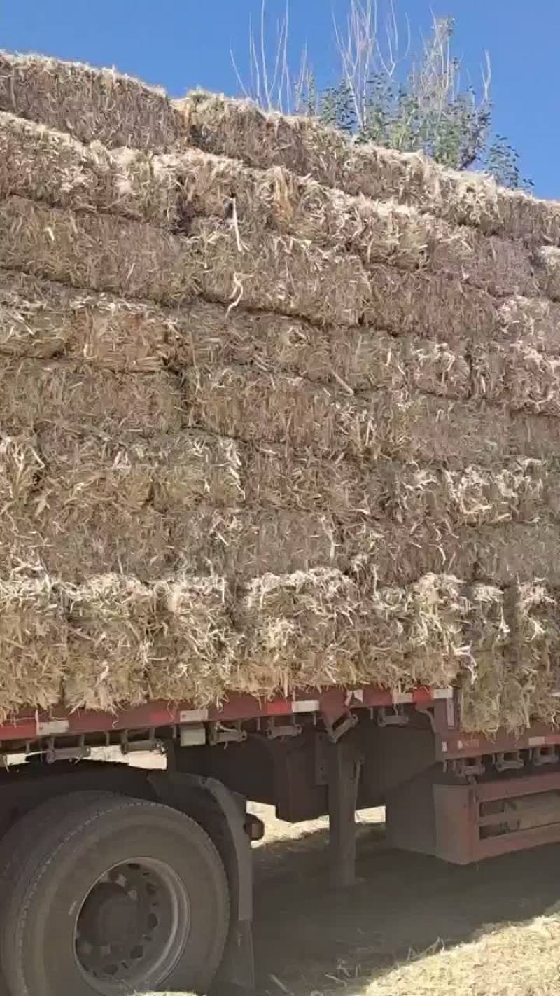 玉米秸秆