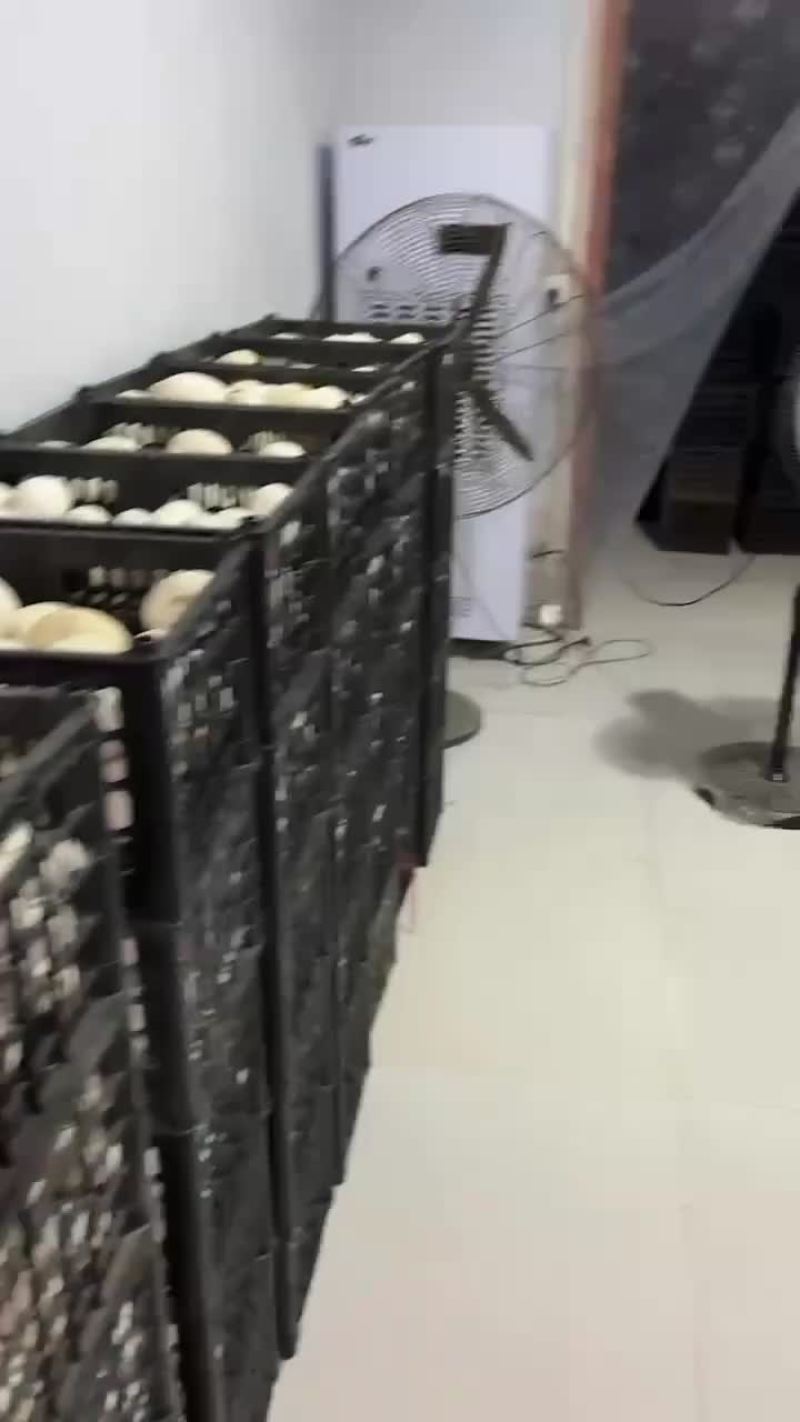 商品鹅蛋，照蛋，双黄蛋