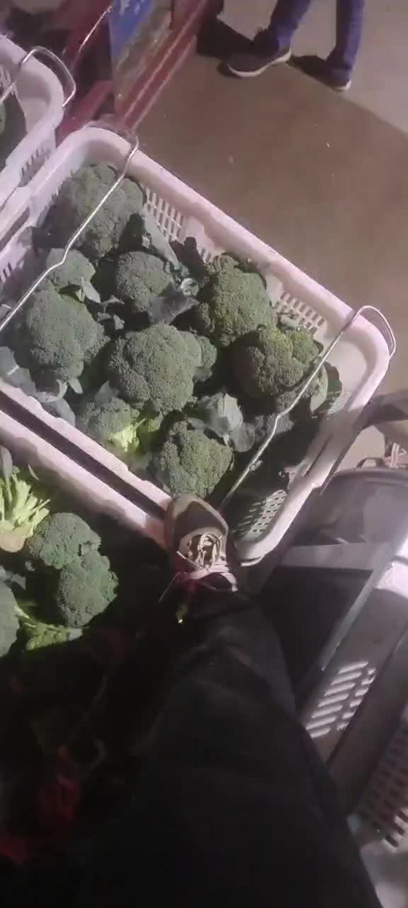 武威西蓝花