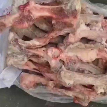 港耀B大骨