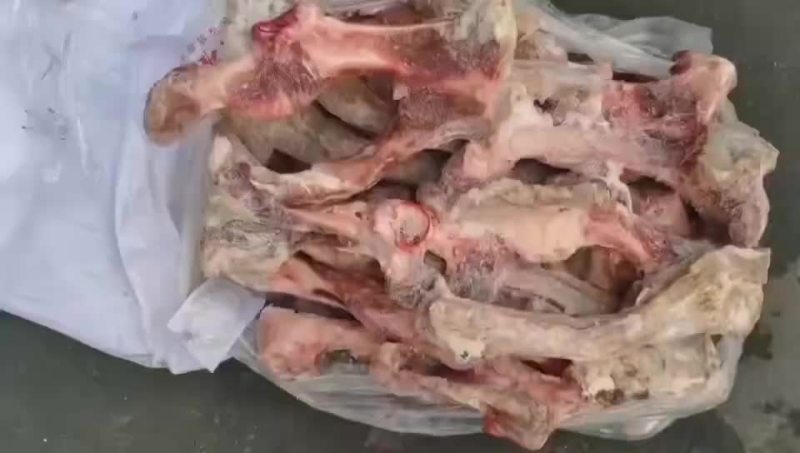 港耀B大骨