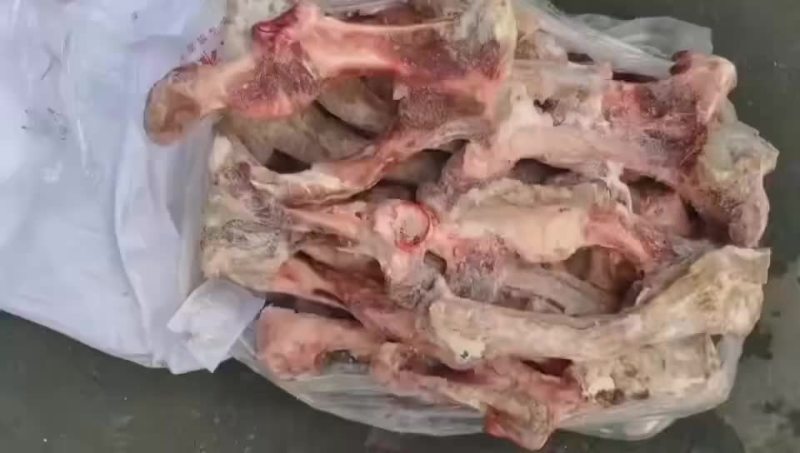 港耀B大骨