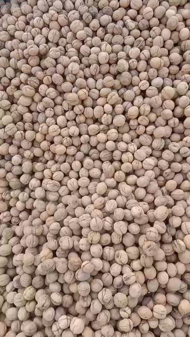 无硫不漂