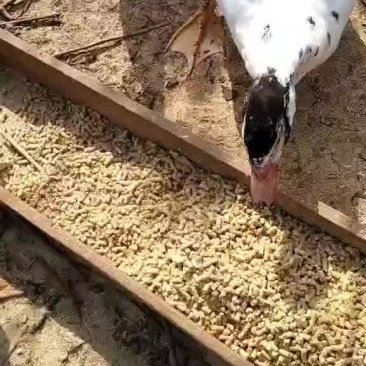 成品