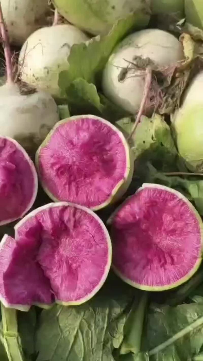 萝卜心里美萝卜